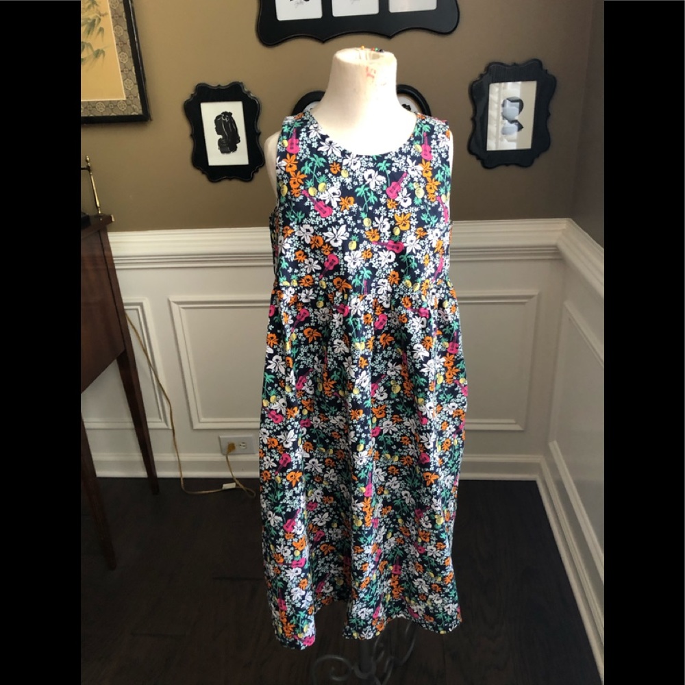 Girls Land’s End dress